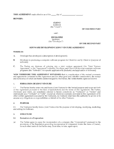 Software Development Joint Venture Agreement