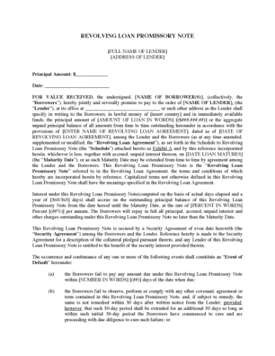 Picture of Revolving Loan Promissory Note | USA