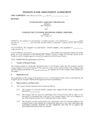 Domain Name Assignment Agreement