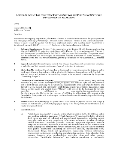 Letter of Intent for Software Development Partnership