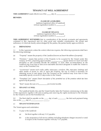 Picture of UK Retail Tenancy at Will Agreement