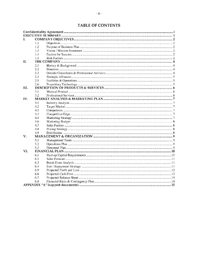 Record Company Business Plan Template