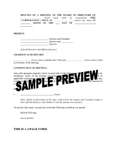 Template for minutes of a directors meeting of a U.S. company