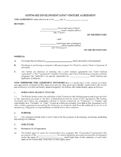 USA Software Development Joint Venture Agreement