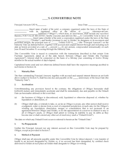 Picture of USA Convertible Note