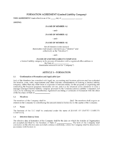 USA LLC Formation Agreement with 3 Classes of Members