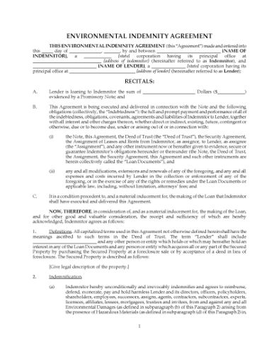 Picture of USA Environmental Indemnity Agreement