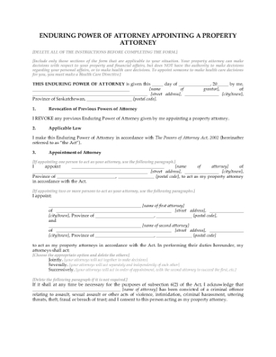 Picture of Saskatchewan Enduring Power of Attorney for Property Attorney