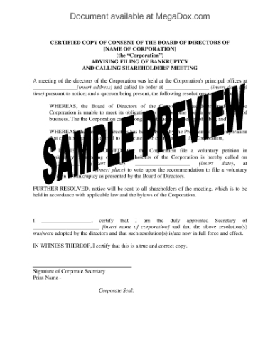 Picture of Directors Minutes Approving Voluntary Petition in Bankruptcy | USA