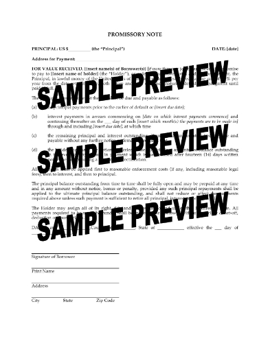 USA Promissory Note for Interest Only