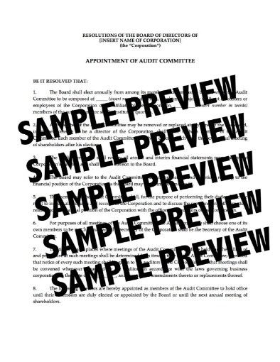 USA Directors Resolutions to Form Audit Committee