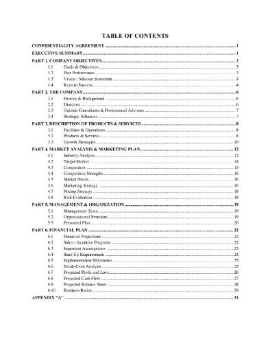Internet Service Provider Business Plan 1