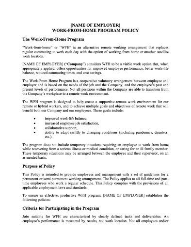 work from home program policy