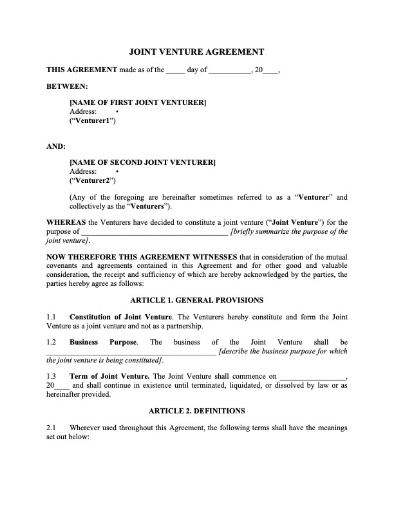 USA Joint Venture Agreement