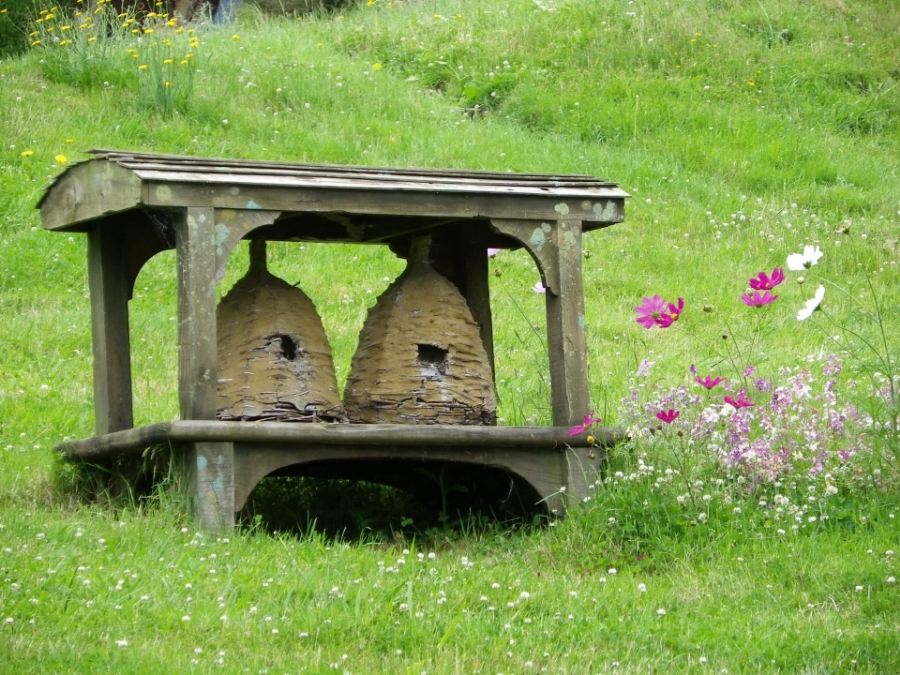 Urban Beekeeping: A Sustainable Small Business Option